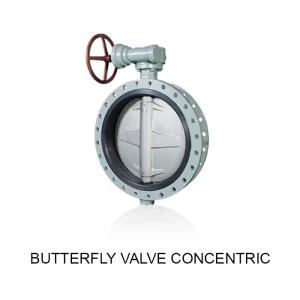 Butterfly valves