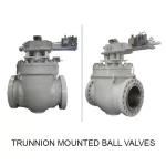 Trunnion ball valves